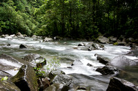 Costa Rica River - down stream from La Cataratas de Cortez