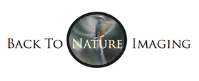 Andrea L. Brannen - Back to Nature Imaging