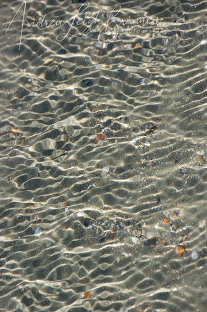 _IGP6132 - Tidal pool on the beach