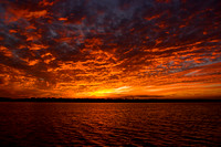 River of Fire - Sunset on the Ashley River